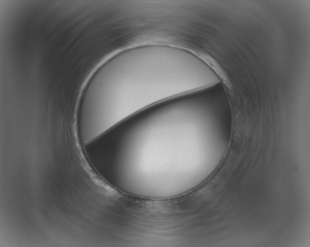 X0000071800904200606301006
