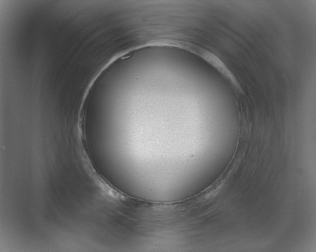 X0000071800908200606301006