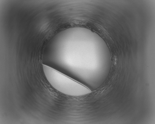 X0000071800915200606301006