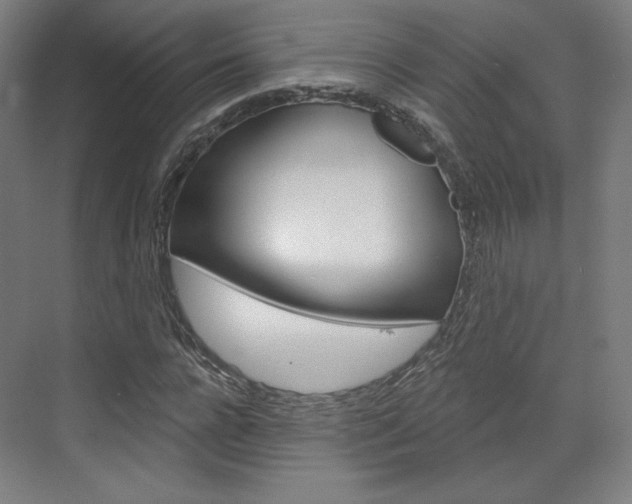 X0000071800920200606301006