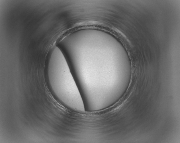 X0000071800921200606301006