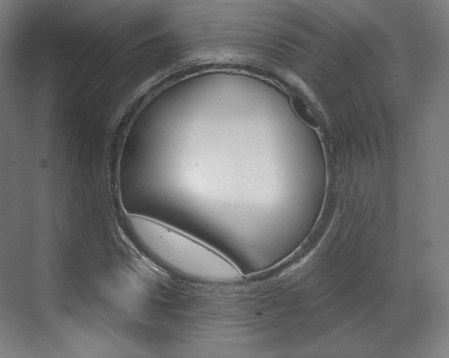 X0000071800922200606301006