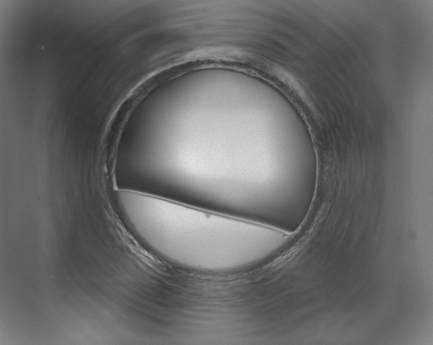 X0000071800923200606301006