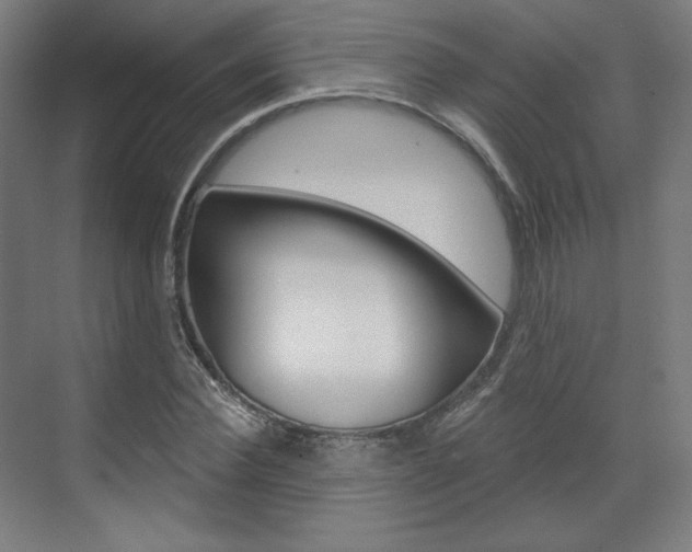 X0000071800924200606301006