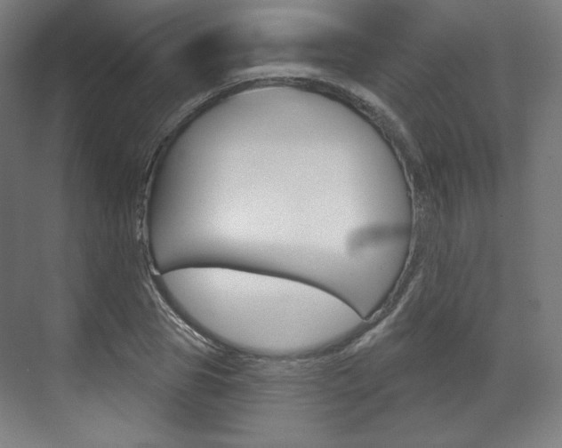 X0000071800929200606301006