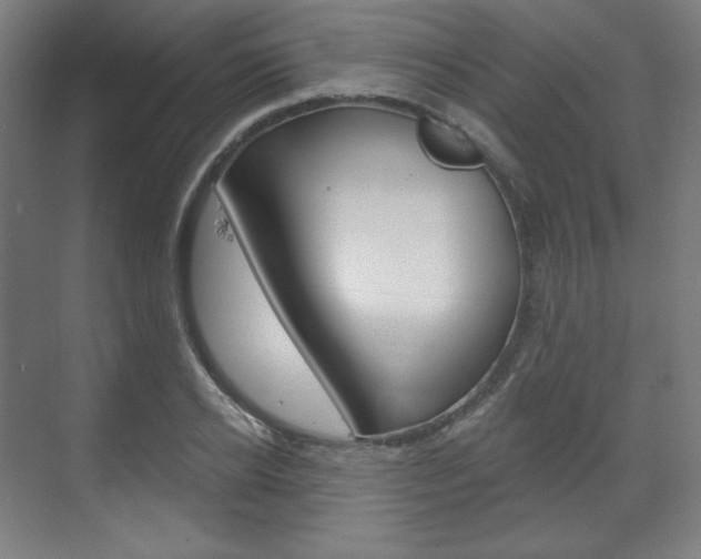 X0000071800934200606301006