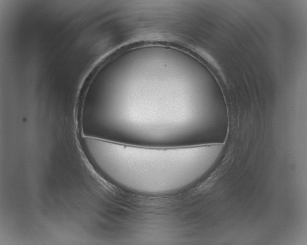 X0000071800935200606301006