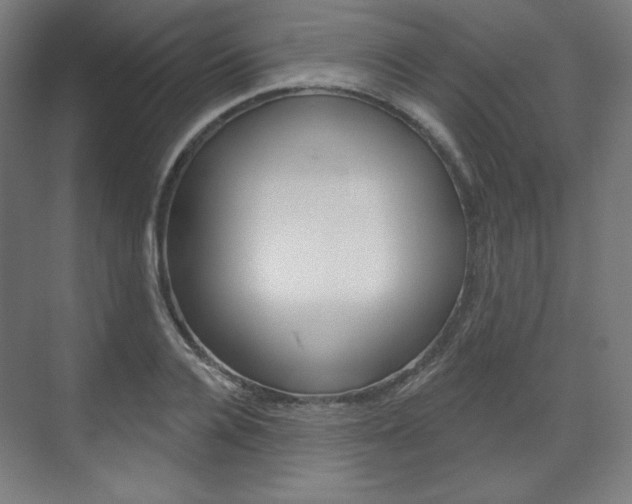 X0000071800936200606301006