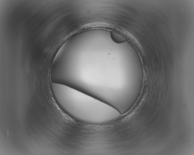 X0000071800937200606301006