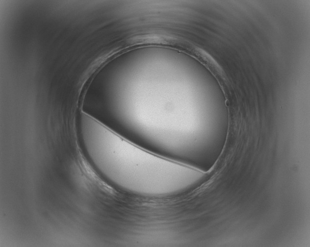 X0000071800938200606301006