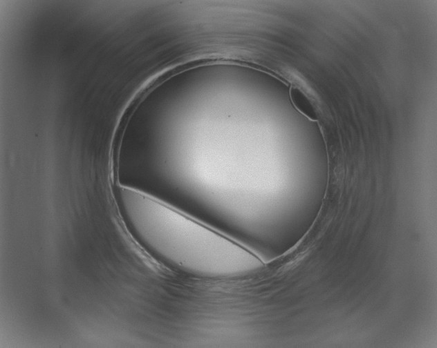 X0000071800940200606301006