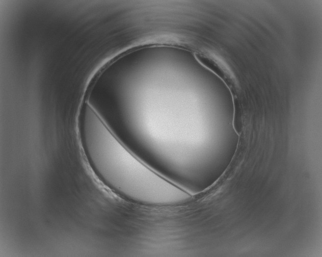 X0000071800944200606301006