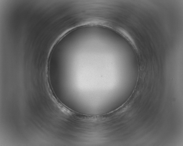 X0000071800948200606301006