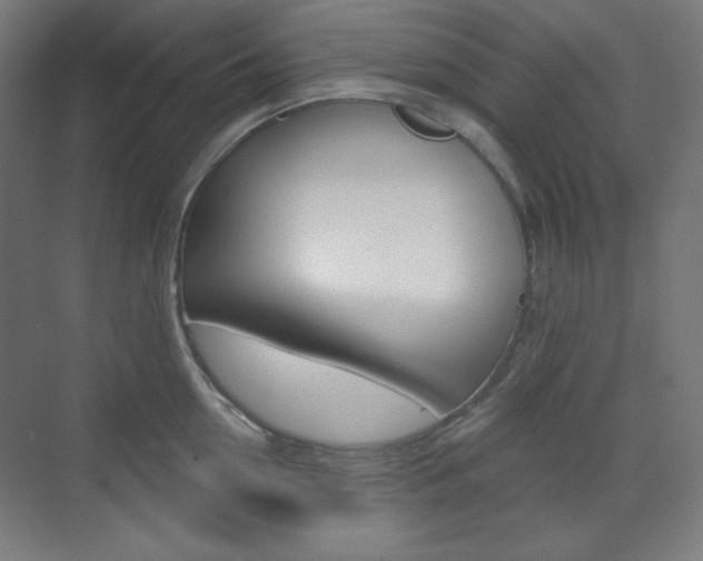 X0000071800954200606301006