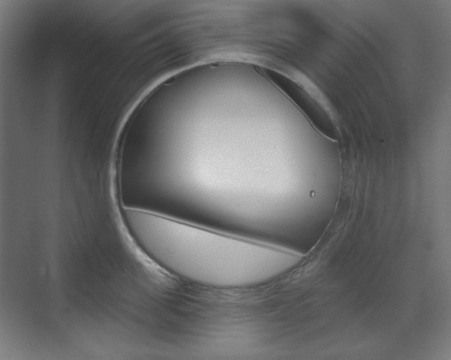 X0000071800955200606301006