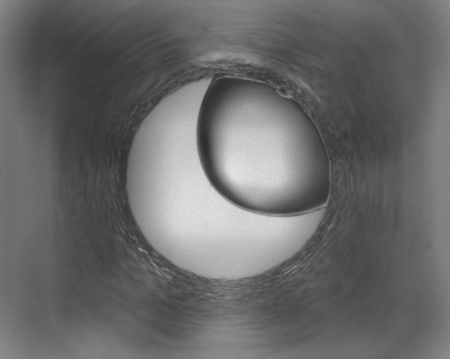 X0000071800965200606301005
