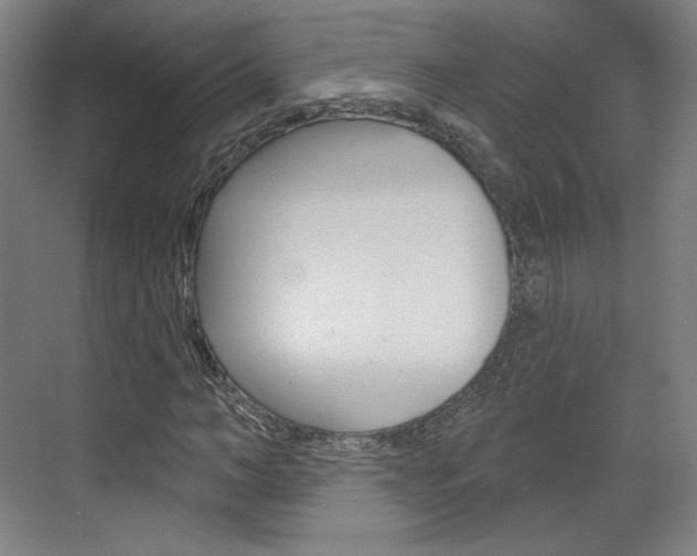X0000071800966200606301005