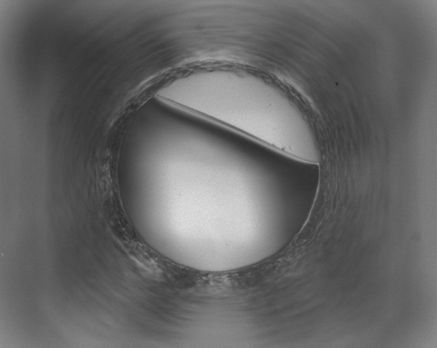 X0000071800968200606301005