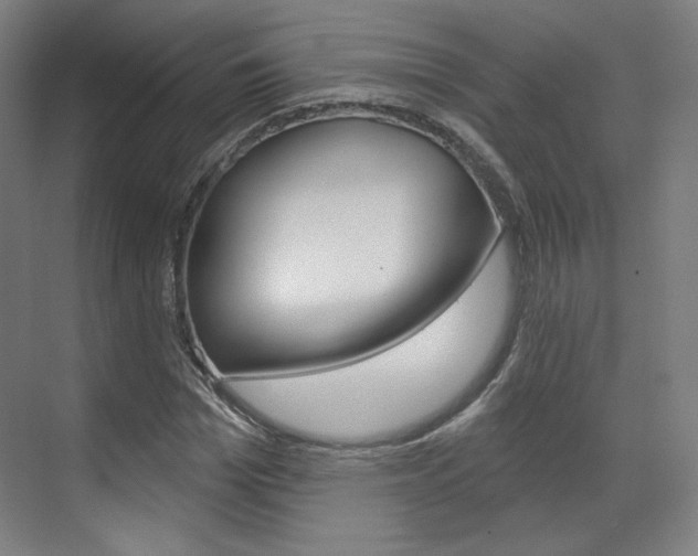 X0000071800969200606301005