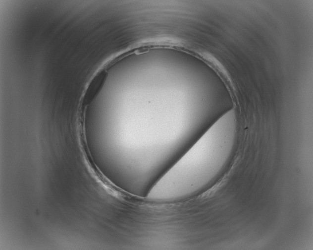 X0000071800989200606301005