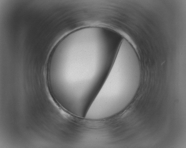 X0000071801007200606301005