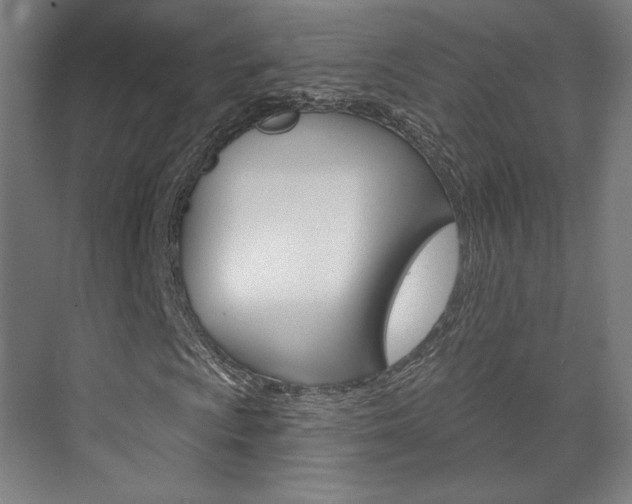 X0000071801009200606301004