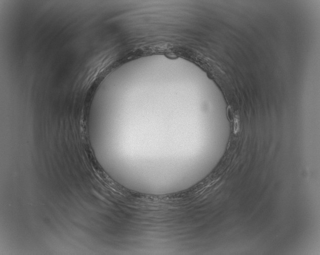 X0000071801011200606301004