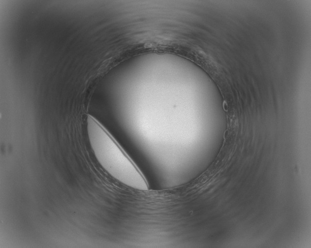 X0000071801012200606301004