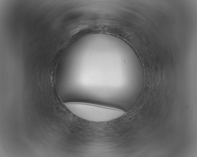 X0000071801013200606301004