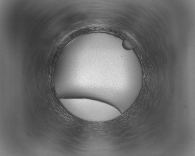 X0000071801015200606301004