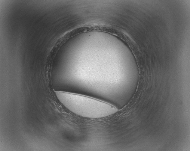 X0000071801016200606301004