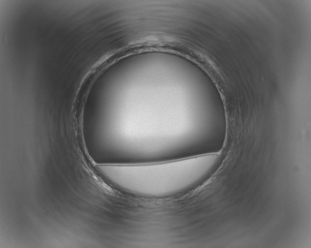 X0000071801018200606301004