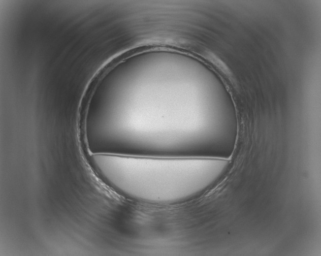X0000071801020200606301004