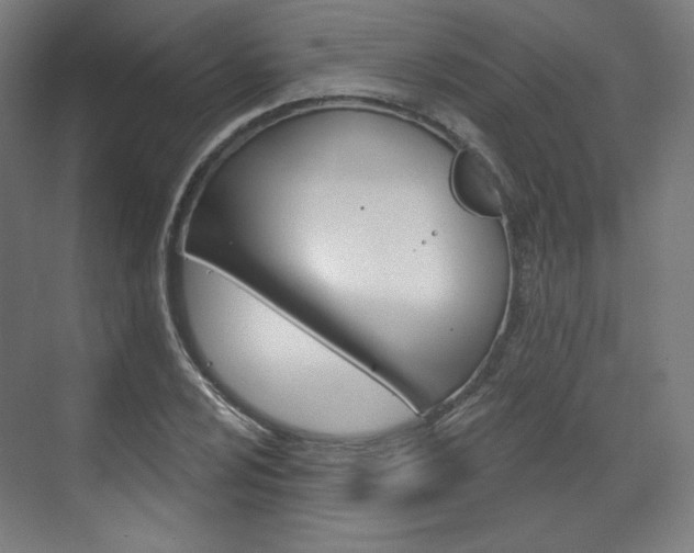 X0000071801024200606301004
