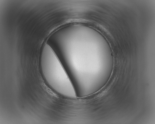 X0000071801025200606301004