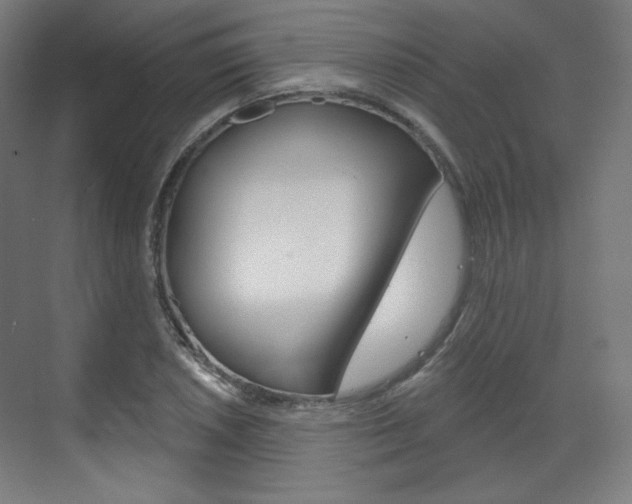 X0000071801026200606301004