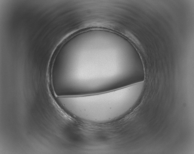 X0000071801028200606301004