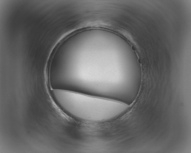 X0000071801032200606301004