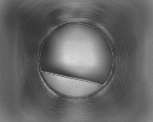 X0000071801033200606301004