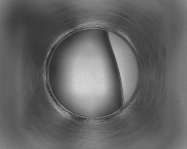 X0000071801034200606301004
