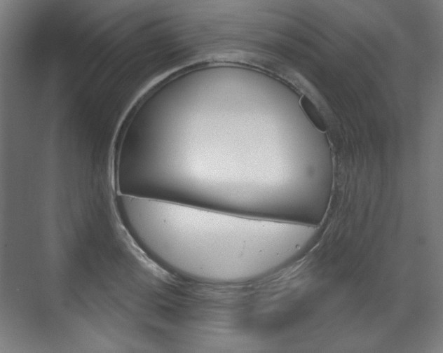 X0000071801036200606301004