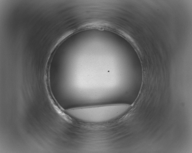 X0000071801042200606301004