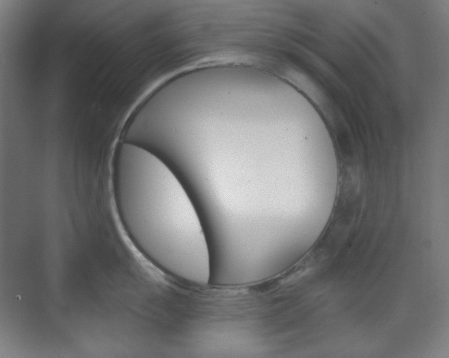 X0000071801055200606301005