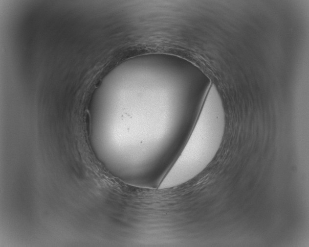 X0000071801057200606301004