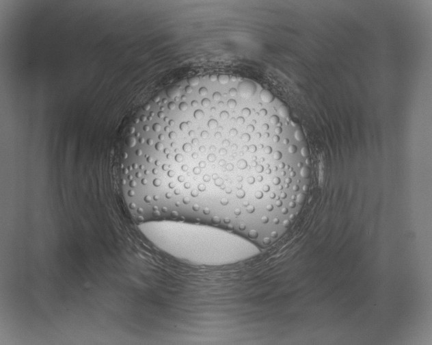 X0000071801059200606301004