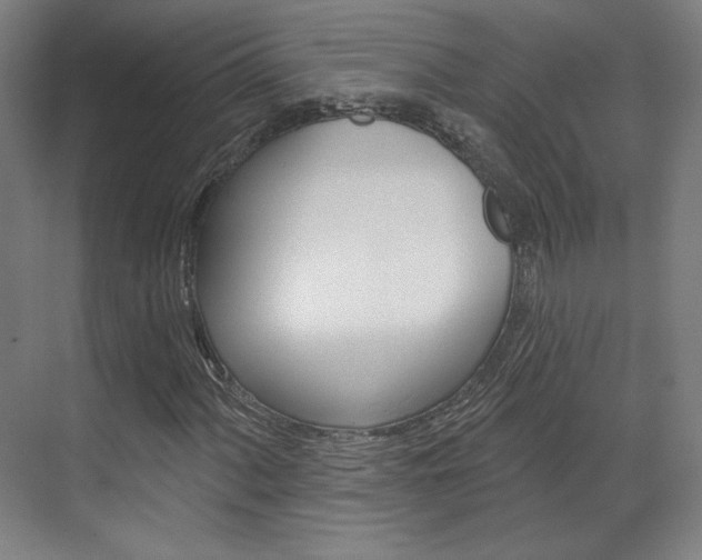 X0000071801060200606301004