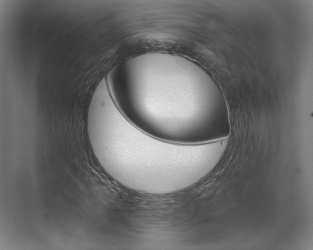 X0000071801061200606301004