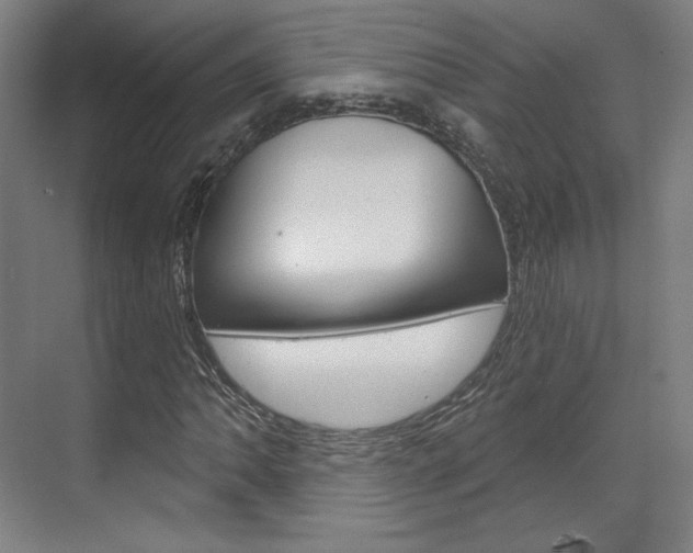 X0000071801062200606301004