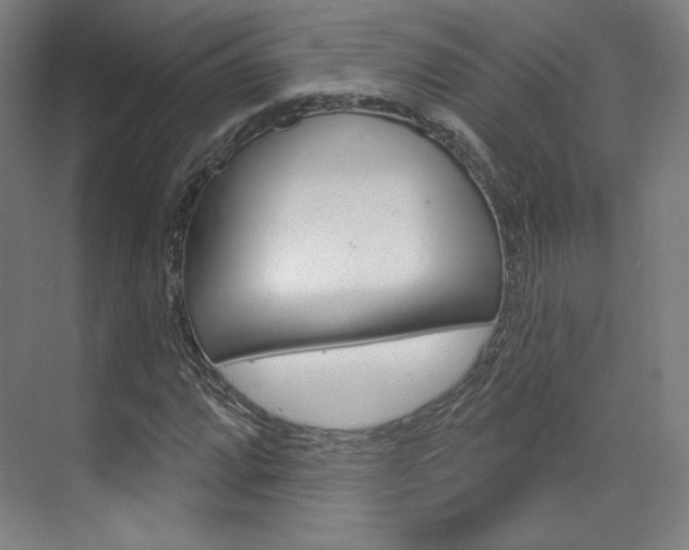 X0000071801064200606301004