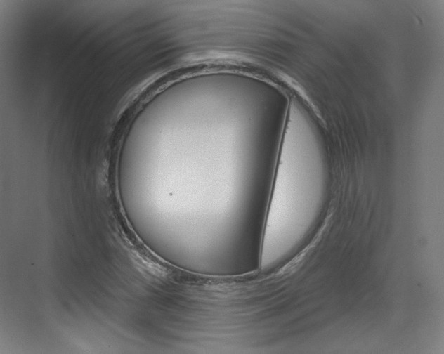 X0000071801066200606301004